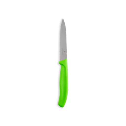 Victorinox-2 Piece 10cm Paring-green V6.7796.L4B
