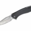 CIVIVI Knives C801DS Backlash Flipper Knife