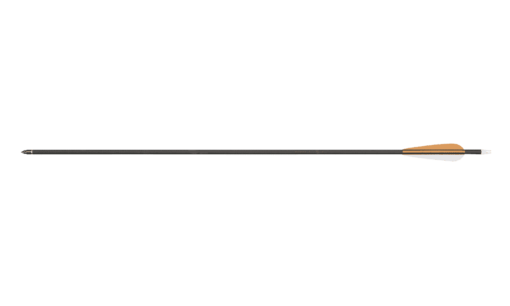 30-inch carbon bow arrow